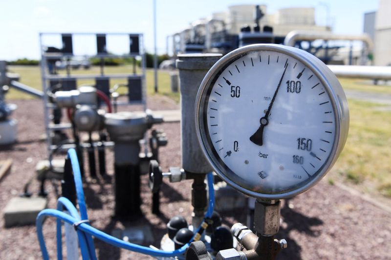 German inflation to stay in double digits despite gas price brake, Bundesbank says