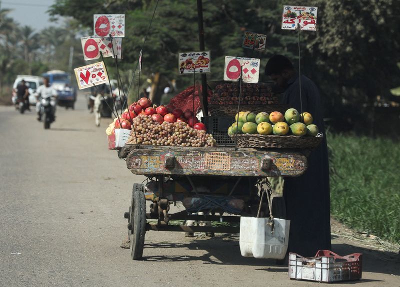 Egypt's economic growth at 4.4% in Q1 of FY 2022/23 - cabinet