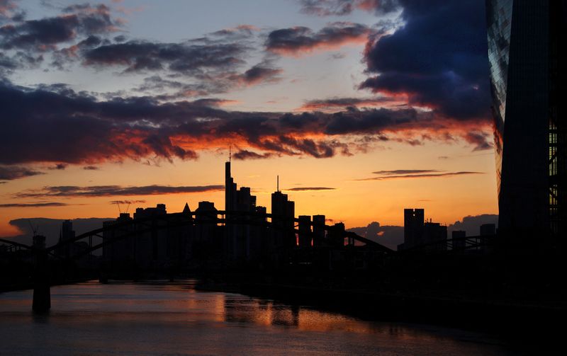 Euro zone economic sentiment rebounds in Nov more than expected
