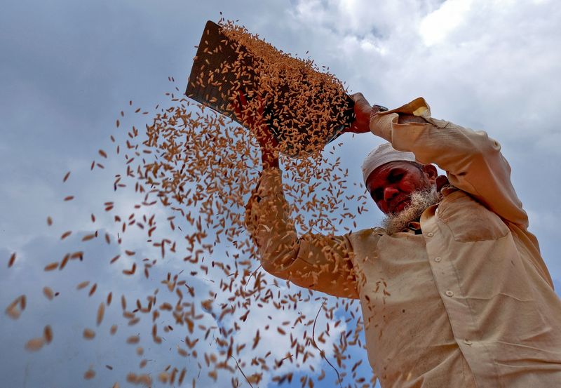 India foodgrain subsidy bill to surge 30% to $33 billion this year - source
