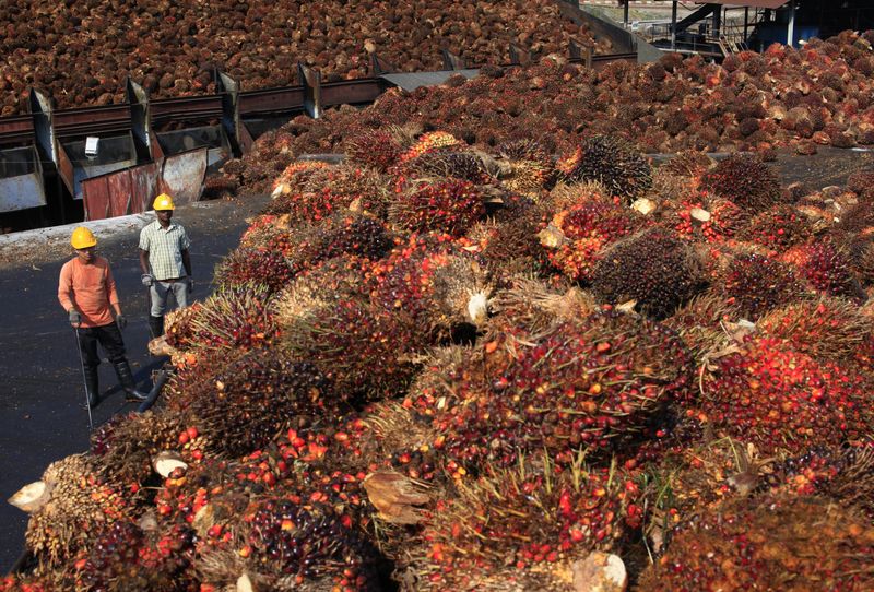 Malaysia's biodiesel group opposes reduction of biofuel mandate