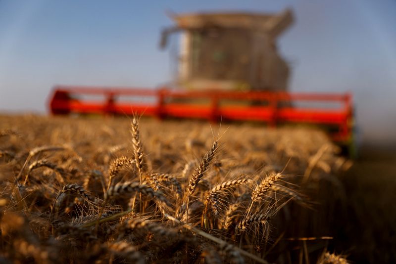 Food prices ease slightly in April after record surge, U.N. agency says