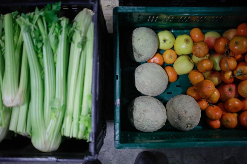 German wholesale price index up 10.6% y/y in January