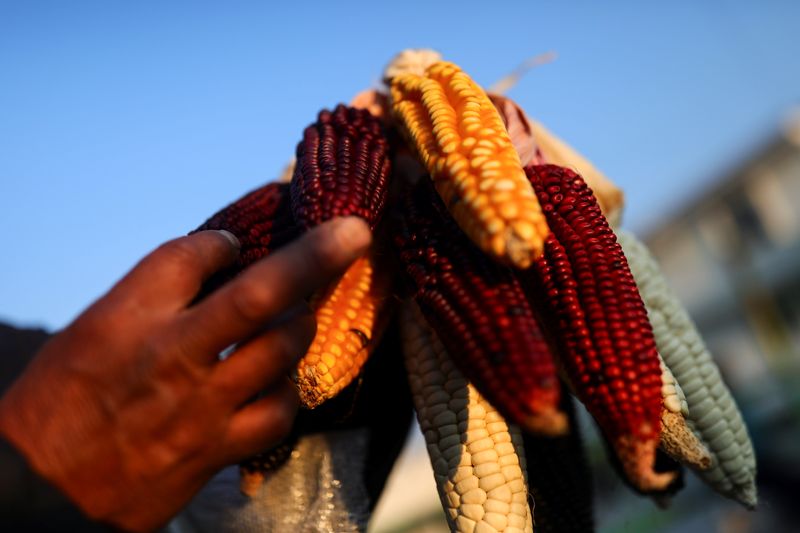 Cutting tariffs on agenda for LatAm anti-inflation plan, Mexico says