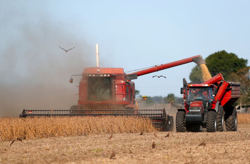Argentina looks to defuse economic timebomb with soy export boost