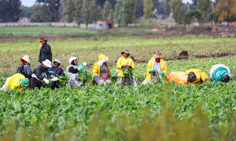 South Africa's producer inflation slows to 10.6% y/y in March