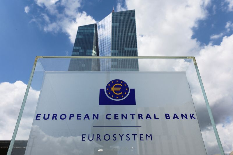 Euro zone lending slows further as rate hikes bite
