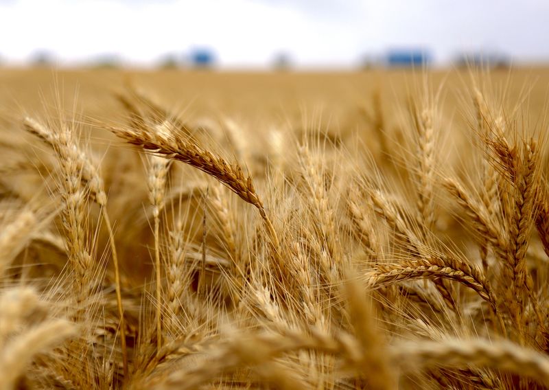 Global warming will hit Australian crop yields and GDP, treasurer says