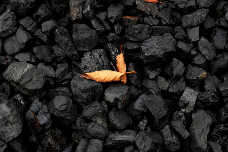 In West Virginia, banks cite Green criticism as red state credential