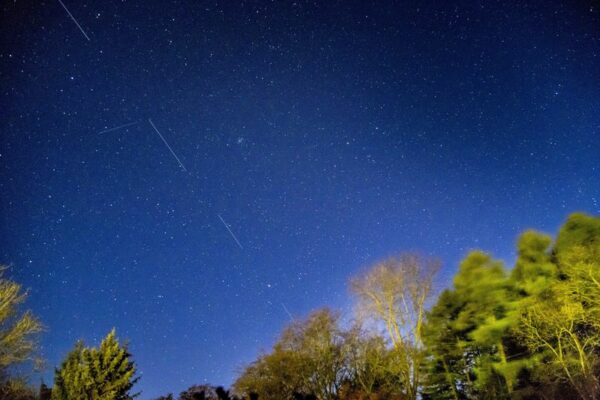 Elon Musk Delivers Starlink Satellite Internet To Keep Ukraine Online