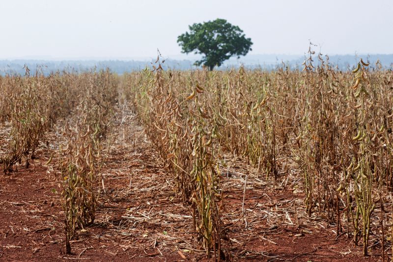 Analysis-Who pays? UN climate report reignites global fight for compensation
