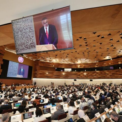 New who panel to speed up pandemic response, address shortcomings - photo licensed by shore news network.