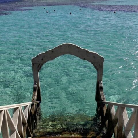 Second woman killed in shark attack in egypt's red sea - photo licensed by shore news network.