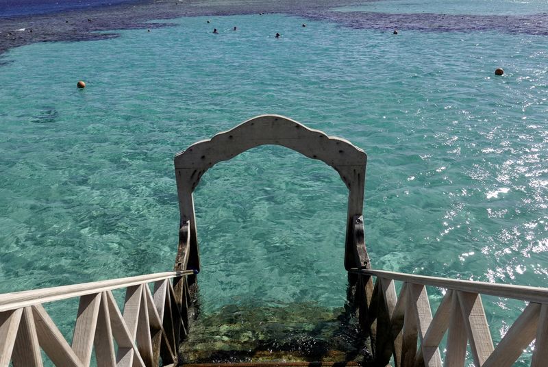 Second woman killed in shark attack in Egypt's Red Sea