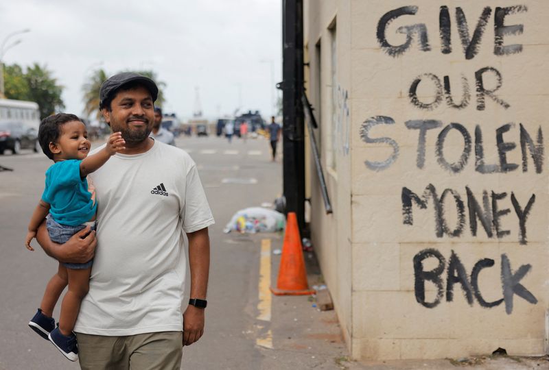 Explainer-How Sri Lanka spiralled into crisis