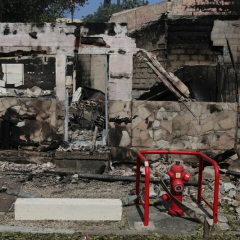 France battles huge wildfires, britain bakes in record heatwave - photo licensed by shore news network.