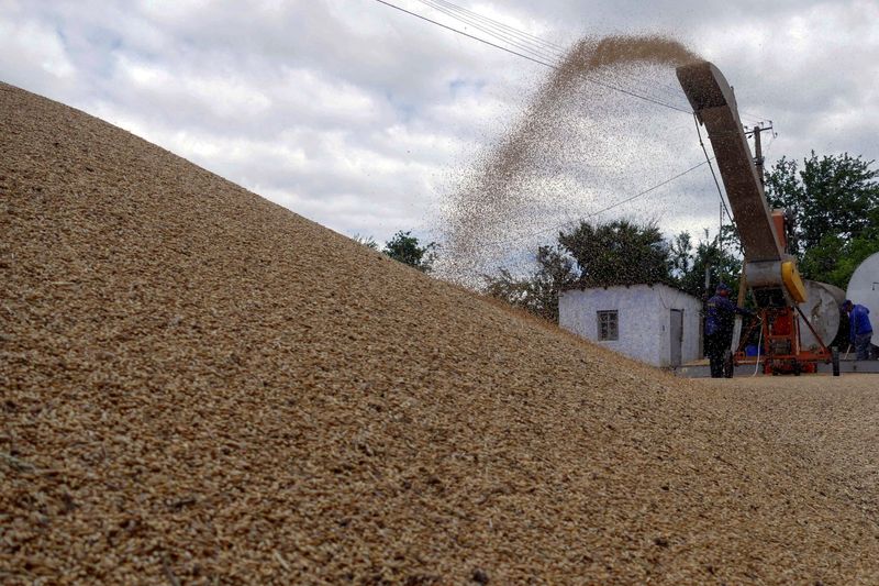 Erdogan wants Ukraine grain sea exports deal in writing this week