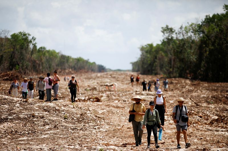 Mexico to temporarily occupy private land for Yucatan train project