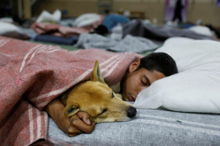 Brazilian city's homeless get incentive for going to shelter: beds for their pets - photo licensed by shore news network.