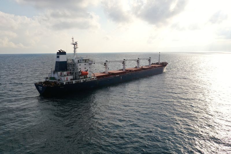 Pope hails departure of Ukrainian grain ships as 'sign of hope'