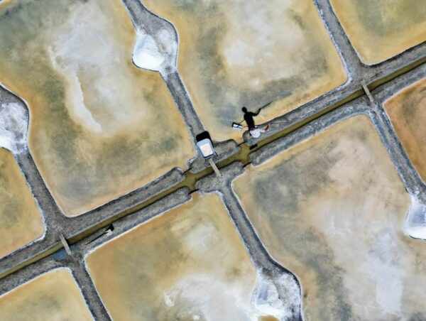 The unwitting winners of france's drought: salt farmers