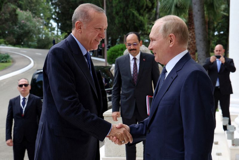 Analysis-Erdogan plays up diplomatic gains with eye on elections