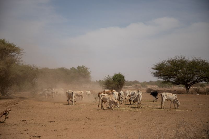 U.N. humanitarian agencies face record funding gap this year