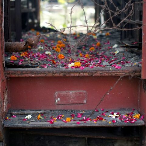 Eleven convicted of gang-rape in 2002 hindu-muslim riots go free - photo licensed by shore news network.