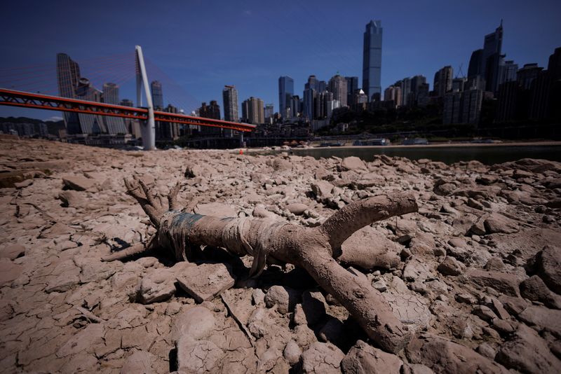 Yangtze tributary runs dry as China faces another month of drought