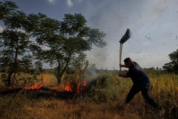 As harvest time looms, China tells farmers to replant or switch crops