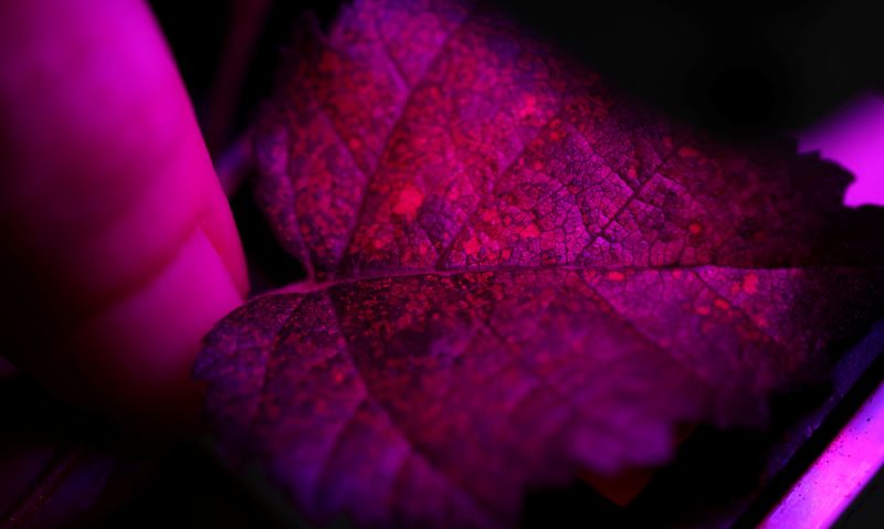 tagreuters.com2022binary_LYNXMPEI7U04B-BASEIMAGE