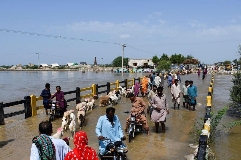 Pakistanis protect homes against devastating floods; aid arrives