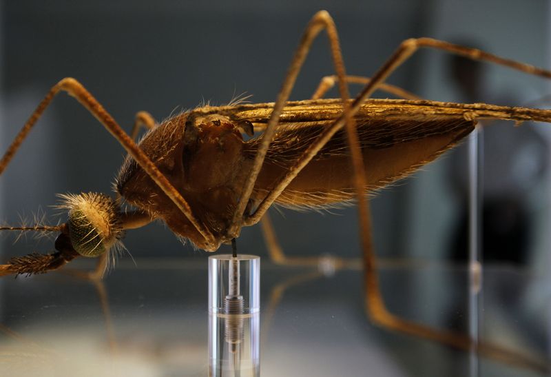 Oxford malaria vaccine data bodes well for effort to combat deadly disease