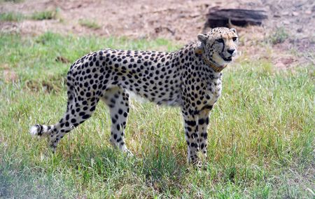 tagreuters.com2022binary_LYNXMPEI8G01T-VIEWIMAGE