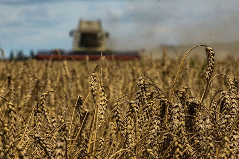 France and international partners announce plans to aid food production hit by Ukraine war
