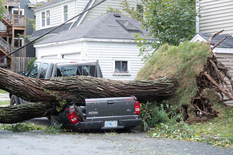 Damage to Canada from storm Fiona is 'unprecedented'