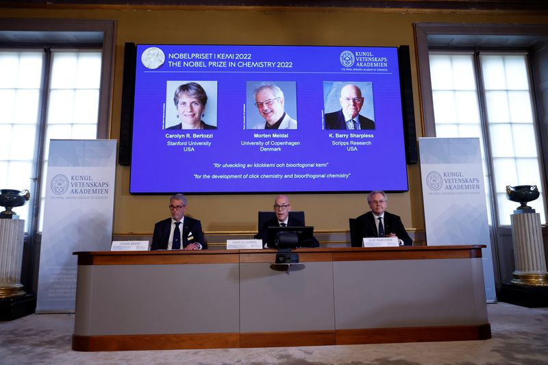 Nobel prize goes to pioneers of Lego-like "click chemistry"