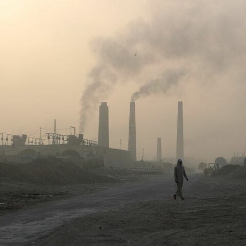 Global co2 emissions to grow less than 1% this year thanks to renewables- iea - photo licensed by shore news network.