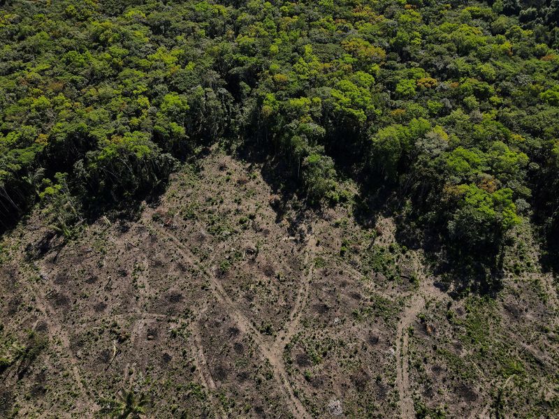 Explainer-What Brazil's election means for the Amazon rainforest