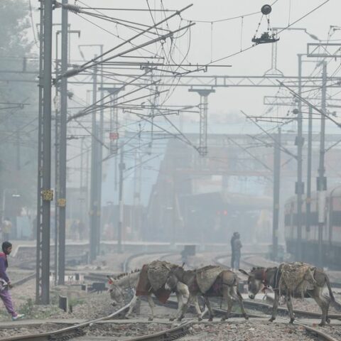 Farm fires big culprit as delhi air quality worsens - photo licensed by shore news network.