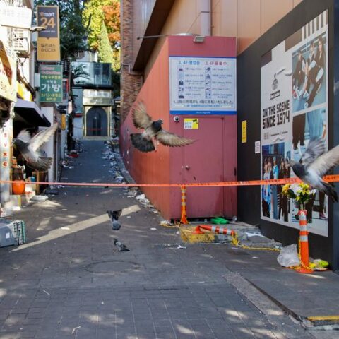 Trauma of south korea halloween party tragedy is pervasive, expert says - photo licensed by shore news network.