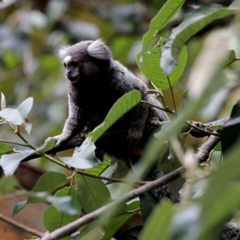 Cop27 climate talks seen as key to success at next month's u. N. Nature summit - photo licensed by shore news network.