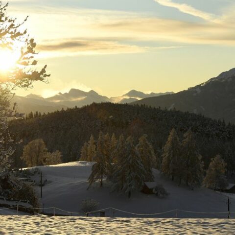 Nature needs $384 billion annually by 2025, u. N. Says - photo licensed by shore news network.