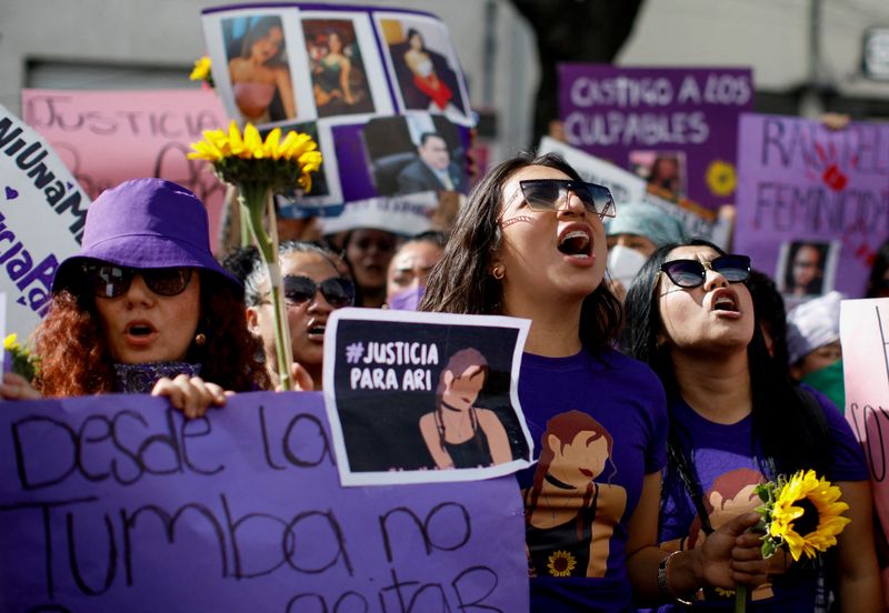 In Mexico, lack of resources aggravates impunity in gender crimes - group