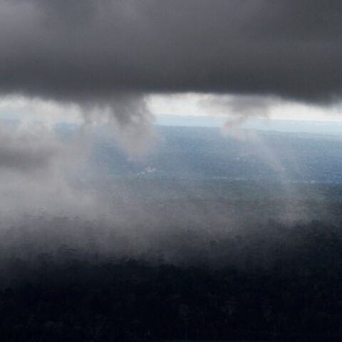 Explainer-what the world's nature-rich nations want out of a global conservation deal - photo licensed by shore news network.