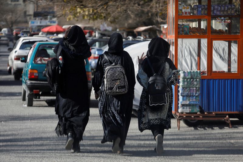 U.N. Security Council denounces Taliban bans on women in Afghanistan