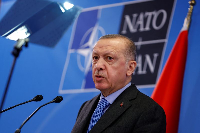 Erdogan says Ukraine, Russia remain at odds over territory