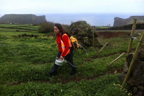 Volcanologists seek answers as island in portugal's azores keeps shaking - photo licensed by shore news network.