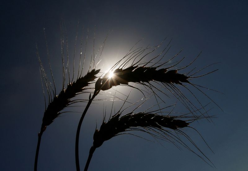 Don't throw Russia out of G20, aid group says, with eye on food crisis