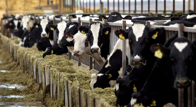 Satellites detect California cow burps, a major methane source, from space